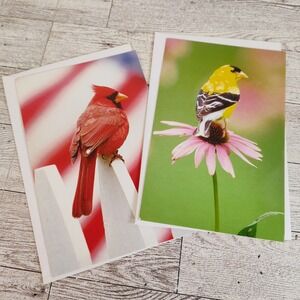 Set of two blank Bird Note‎ Cards Cardinal Goldfinch Blank Inside Stationery